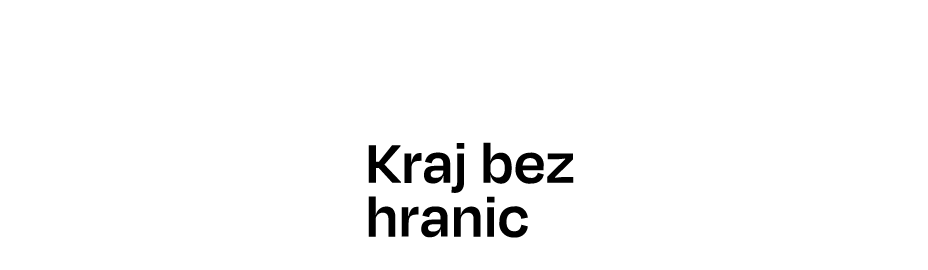 CZ ZK INVERTED_TRANSPARENT.png