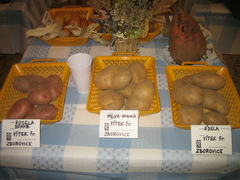 Zahrádkářská výstava 2007